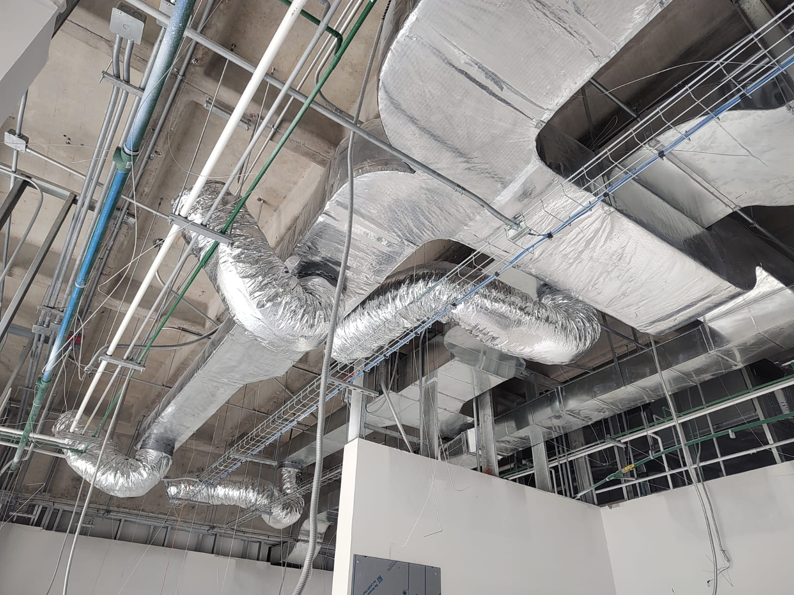 Whatsapp image 2025 07 17 at 6.16.55 pm